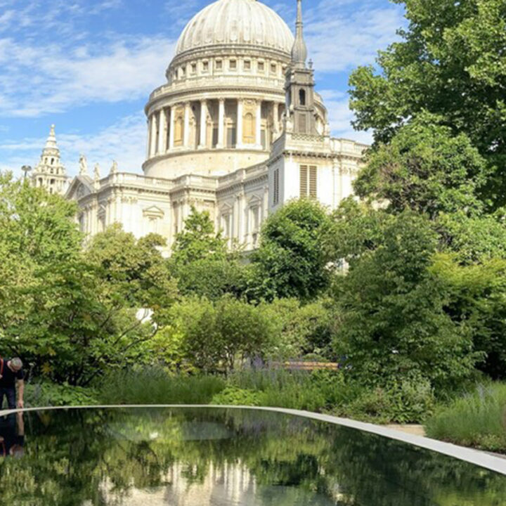 skylight acrylic panel st paul's london